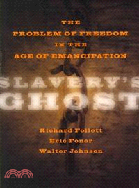 Slavery's Ghost ─ The Problem of Freedom in the Age of Emancipation