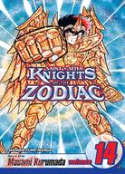 Knights of the Zodiac 14