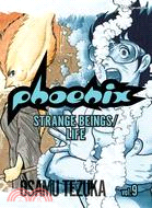 Phoenix 9