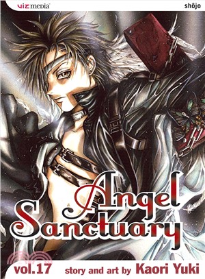 Angel Sanctuary 17