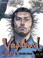 Vagabond 25