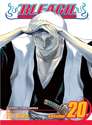 Bleach 20