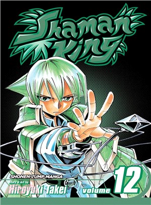 Shaman King 12: The Wrath of Angels
