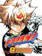 Reborn! 9: Blood of the Vongola