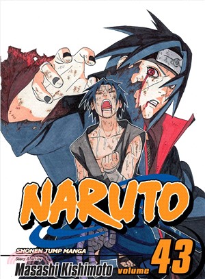 Naruto 43 ─ The Man With the Truth