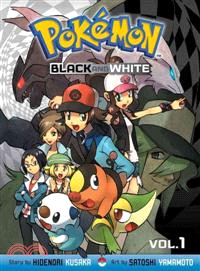 Pokemon Black and White 1