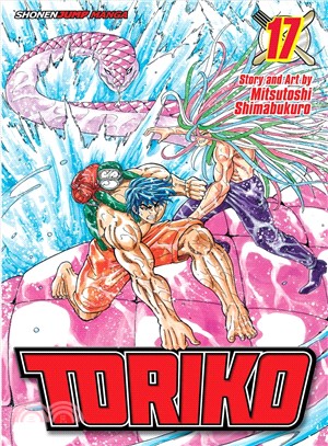 Toriko 17