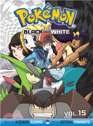 Pokemon Black and White 15