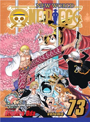 One Piece 73