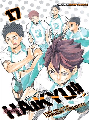 Haikyu!! 17