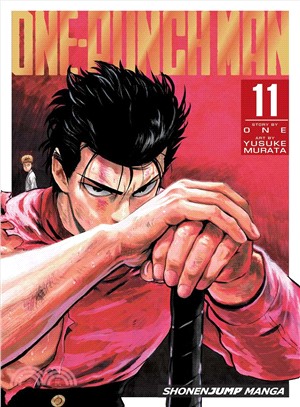 One-Punch Man 11