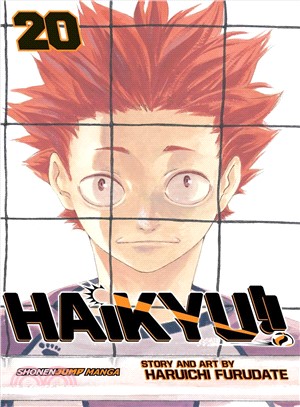 Haikyu!! 20