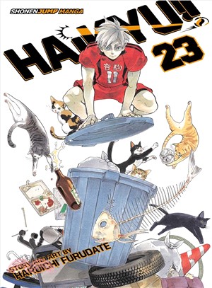 Haikyu!! 23