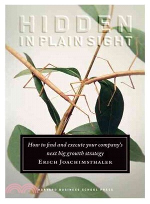 Hidden in Plain Sight ─ How to Find and Execute Your Company\