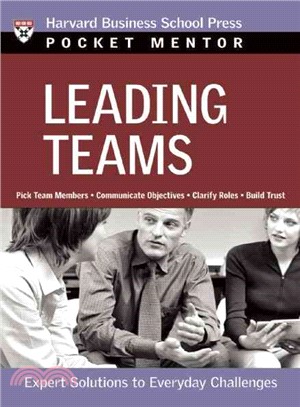 Leading Teams ─ Expert Solutions To Everday Challenges