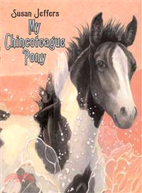 My Chincoteague Pony