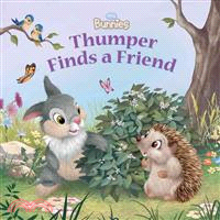 Disney Bunnies Thumper Finds a Friend