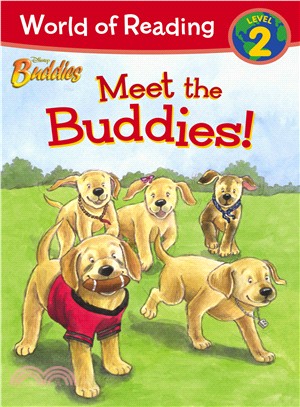 Meet the Buddies