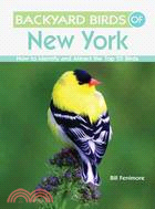 Backyard Birds of New York