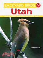 Backyard Birds of Utah