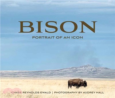 Bison: Portrait of an Icon