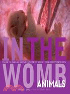 In the Womb: Animals