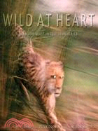 Wild at Heart