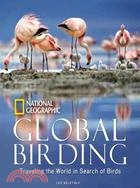 Global Birding