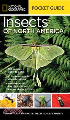National Geographic Pocket Guide to Insects of North America