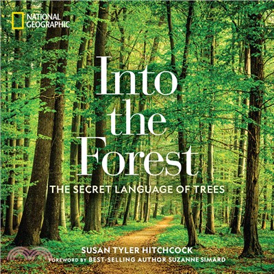 Into the forest :the secret ...