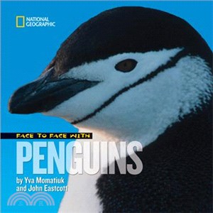 Face to Face with Penguins