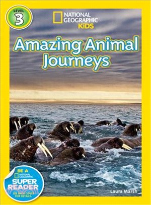 Amazing animal journeys /