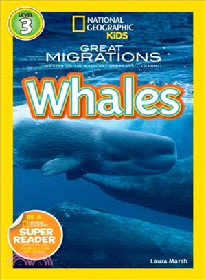 Great migrations. Whales