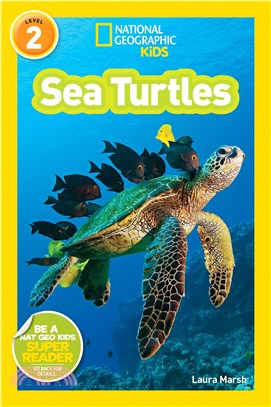 Sea turtles /