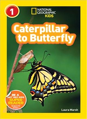 Caterpillar to butterfly /