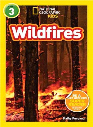 Wildfires /