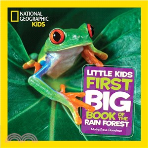 Little kids first big book of the rain forest /