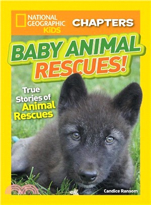 Baby Animal Rescues!