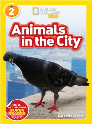 Animals in the city /