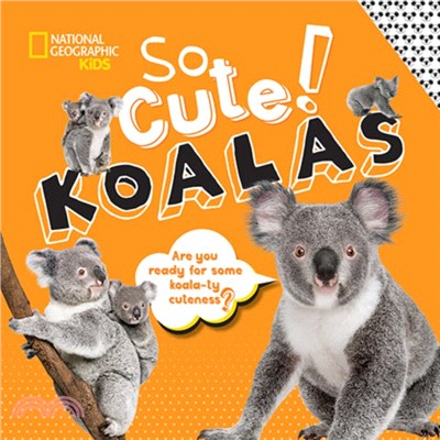 So Cute! Koalas