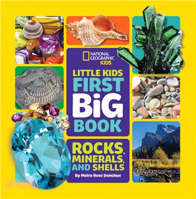 Little Kids First Big Book of Rocks, Minerals &amp; Shells