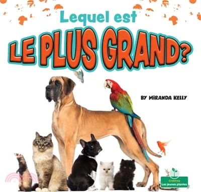 Lequel Est Le Plus Grand?