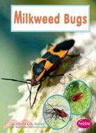 Milkweed Bugs