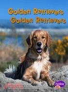 Golden Retrievers / Golden Retrievers