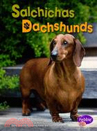 Salchichas / Dachshunds