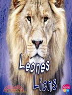 Leones / Lions