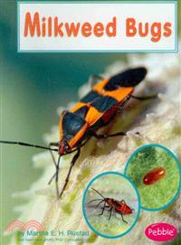 Milkweed Bugs