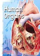 Human Organs