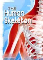 The Human Skeleton