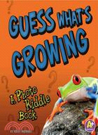 Guess What's Growing?: A Photo Riddle Book
